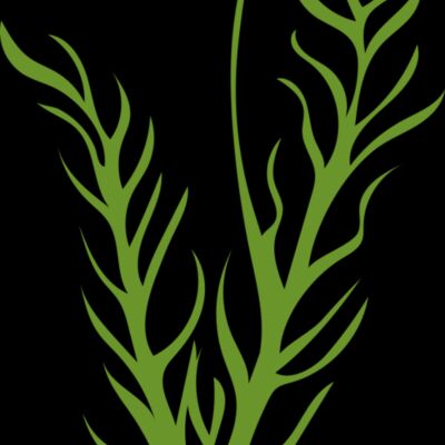 Leaves 8 Thumbnail