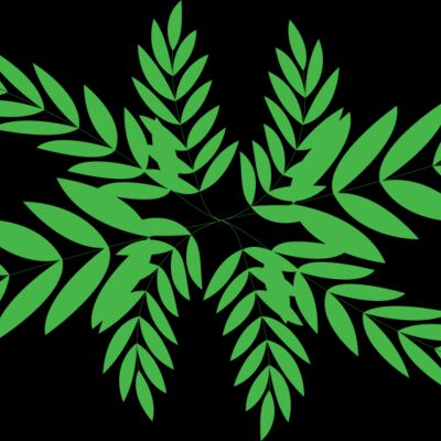 Leaves 3 Thumbnail
